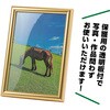 11061 アートフレーム ゴールド アーテック[学校教材・教育玩具] 76110855