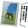 11062 アートフレーム ホワイト アーテック[学校教材・教育玩具] 76110871