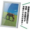 11064 アートフレーム ホワイト アーテック[学校教材・教育玩具] 76110889