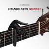 PW-CP-10S ARTIST CAPO SILVER アコースティックギター用カポタスト D'Addario 76113199