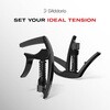 PW-CP-10S ARTIST CAPO SILVER アコースティックギター用カポタスト D'Addario 76113199
