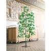150cm 使用例