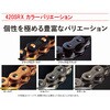 420SRX(BK；GP)100L SKJ シールチェーン 420SR-X ブラック/ゴールド EKチェーン 76147289