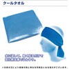 BR-560 熱中対策キットMINI ブレイン 76155330