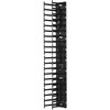 AR7580A APC Vertical Cable Manager for NetShelter SX 750mm Wide 42U (Qty 2) AR7580A APC(シュナイダーエレクトリック) 76155637