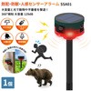 10001305 ソーラー赤外線センサーアラーム SSA01 EVERSAFE 76156678