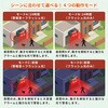 10003348 高感度赤外線搭載ソーラーアラーム SSA02 EVERSAFE 76156730