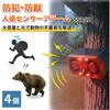 10003348 高感度赤外線搭載ソーラーアラーム SSA02 EVERSAFE 76156730