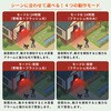 10001307 リモコン付きソーラーアラーム SSA03 EVERSAFE 76156739