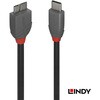 36623 ANTHRA LINE  USB3.2 Gen1 Type-C to Micro-Bケーブル LINDY 76156888