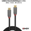 36902 ANTHRA LINE USB3.2 Gen2x2 Type-Cケーブル+PDスマートチップ LINDY 76156906