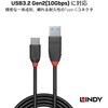 36916 BLACK LINE USB3.2 Gen2 Type-C to Type-Aケーブル LINDY 76156931