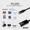 43293 USB3.1 Type-C to HDMI 2.0 HDR アクティブ変換ケーブル LINDY 76156985