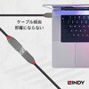 36897 ANTHRA LINE USB2.0 Type-C to Type-A オス/メス OTGケーブル LINDY 76157046