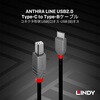 36941 ANTHRA LINE USB2.0 Type-C to Type-Bケーブル LINDY 76157089