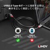 36941 ANTHRA LINE USB2.0 Type-C to Type-Bケーブル LINDY 76157089