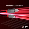 36941 ANTHRA LINE USB2.0 Type-C to Type-Bケーブル LINDY 76157089
