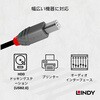 36941 ANTHRA LINE USB2.0 Type-C to Type-Bケーブル LINDY 76157089