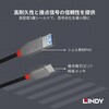 36895 ANTHRA LINE USB3.2 Gen2 Type-C to Type-A オス/メス OTGケーブル LINDY 76157141