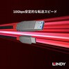 36895 ANTHRA LINE USB3.2 Gen2 Type-C to Type-A オス/メス OTGケーブル LINDY 76157141