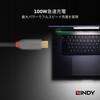 36901 ANTHRA LINE USB3.2 Gen2x2 Type-Cケーブル+PDスマートチップ LINDY 76157159