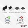 41365 DisplayPort 1.2 オス/メス アダプタ LINDY 76157177