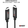 43348 USB3.2 Gen2 Type-Cアクティブケーブル LINDY 76157220