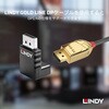 41366 DisplayPort 1.2 オス/メス アダプタ LINDY 76157281