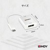 43245 USB3.1 Type-C to DisplayPort アクティブ変換アタブタ LINDY 76157290