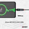 41899 Type-C to Type-A オス/メス 変換アタブタ LINDY 76157308