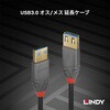 36762 ANTHRA LINE USB3.0 Type-A オス/メス 延長ケーブル LINDY 76157335