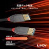 36762 ANTHRA LINE USB3.0 Type-A オス/メス 延長ケーブル LINDY 76157335