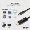 43303 USB3.1 Type-C to DisplayPort HDR アクティブ変換ケーブル LINDY 76157396