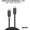 36906 BLACK LINE USB3.2 Gen2x2 Type-Cケーブル LINDY 76157421