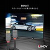 36495 ANTHRA LINE DisplayPort 1.4 オス/メス 延長ケーブル LINDY 76157466