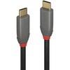 36900 ANTHRA LINE USB3.2 Gen2x2 Type-Cケーブル+PDスマートチップ LINDY 76157518
