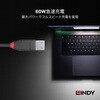 36915 BLACK LINE USB3.2 Gen2 Type-C to Type-Aケーブル LINDY 76157561