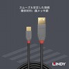 36888 ANTHRA LINE USB2.0 Type-C to Type-Aケーブル LINDY 76157570