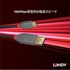 36888 ANTHRA LINE USB2.0 Type-C to Type-Aケーブル LINDY 76157570