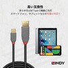 36888 ANTHRA LINE USB2.0 Type-C to Type-Aケーブル LINDY 76157570