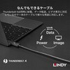 31120 パッシブ Thunderbolt 4 Intel認証取得 Type-Cケーブル LINDY 76157597