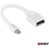 41021 Mini DisplayPort to DisplayPort オス/メス 変換ケーブル LINDY 76157631