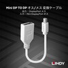 41021 Mini DisplayPort to DisplayPort オス/メス 変換ケーブル LINDY 76157631