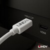 41021 Mini DisplayPort to DisplayPort オス/メス 変換ケーブル LINDY 76157631