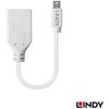 41021 Mini DisplayPort to DisplayPort オス/メス 変換ケーブル LINDY 76157631