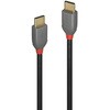 36873 ANTHRA LINE USB2.0 Type-Cケーブル LINDY 76157658