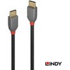 36873 ANTHRA LINE USB2.0 Type-Cケーブル LINDY 76157658