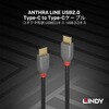 36873 ANTHRA LINE USB2.0 Type-Cケーブル LINDY 76157658