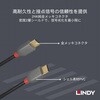 36873 ANTHRA LINE USB2.0 Type-Cケーブル LINDY 76157658
