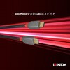 36873 ANTHRA LINE USB2.0 Type-Cケーブル LINDY 76157658